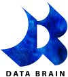 data brain